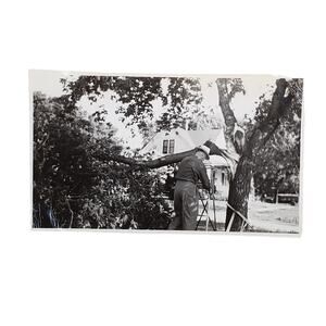 Vtg Man Fixing Fallen Tree Original Monochrome Photography Found 1950 Landscape